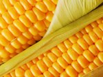 It's CORN