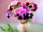 Violets in vase