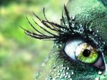 Green Eye