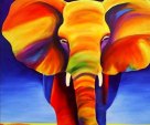 Eléphant Multicolore