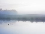 Misty Pond