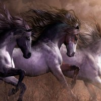 3 Muskateers - Horses F+Cmp