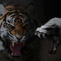 Both do not tolerate the presence of the other