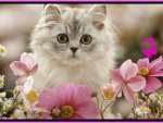 "Cute Floral Kitty"