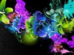 Colorful Abstract Flowers