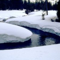 Snow Stream