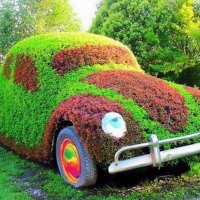 Flower-covered Beetle