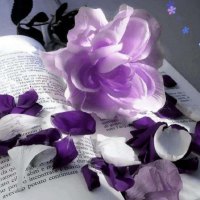 The Beauty Of Reading