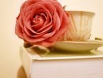 Rose with Book