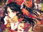 Reimu Autumn Theme
