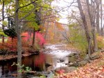 Autumn Stream