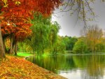 Calm autumn lake