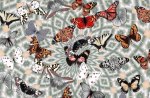 Muted Butterfly Collage