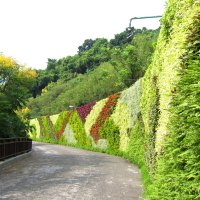 The floral wall displaying Trail