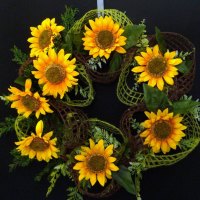 Fall in...SunFlowerâ™¥