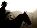 Cowboy at Rodeo