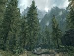 Skyrim: Into the forest