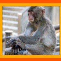 HAVE YOU EVER BEEN THIS TIRED #3