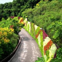 The floral wall displaying Trail