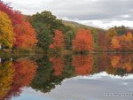 New England Fall