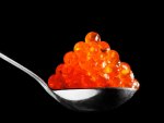 Caviar