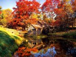 Autumn mill