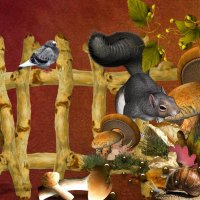 Mushrooms and Squirrels