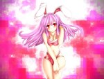 Beauty Bunny Reisen