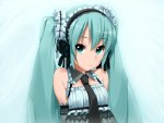 miku