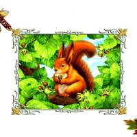 Animal Series   --Squirrel in Autumn1