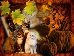 Autumn cats