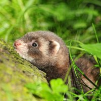 Resting in the Sunâ™¥