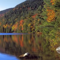 *** Lake in the mountains and forest ***