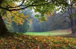 park in autumn