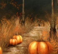 Pumpkin Path
