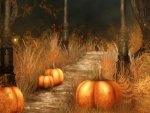 Pumpkin Path
