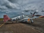 P51 Mustang - Betty Jane