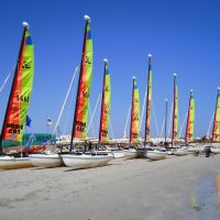 Hobie cats