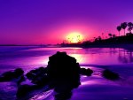 Purple Sunrise