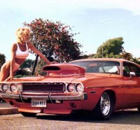 muscle car babe