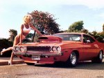 muscle car babe