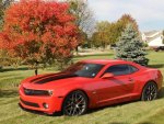 Camaro autumn