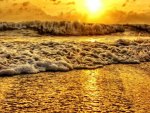 Golden Waves