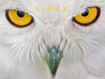 Linux Owl