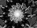 Black And White Fractal