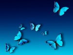 Blue Butterflies