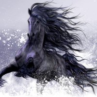 Winter Play - Horse F+Cmp