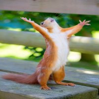 O tempora, o mores...