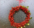 â™¥     Rosehip Wreath     â™¥