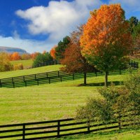 Autumn Pastures
